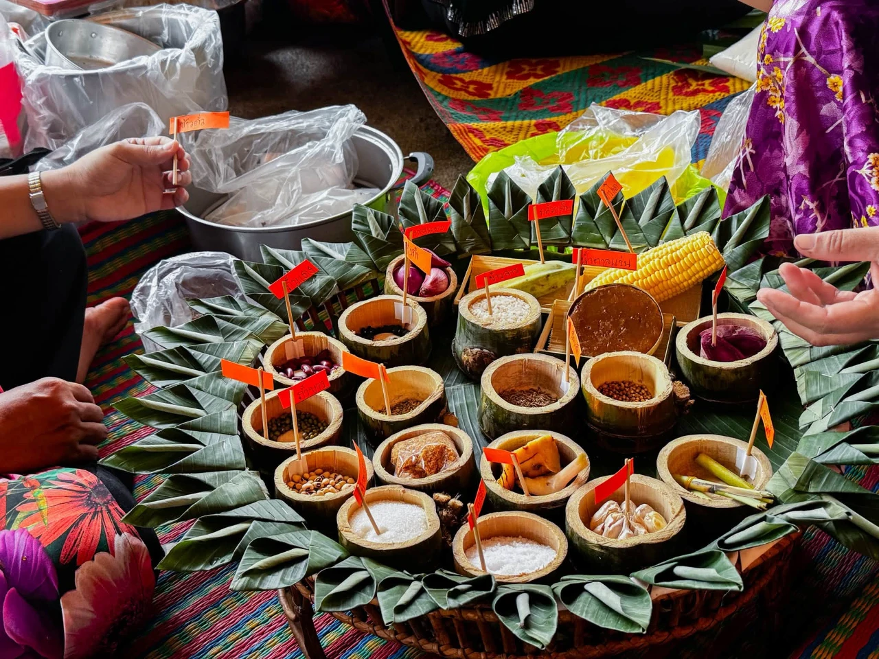 catalogs_file_276_15_42_512519.webp